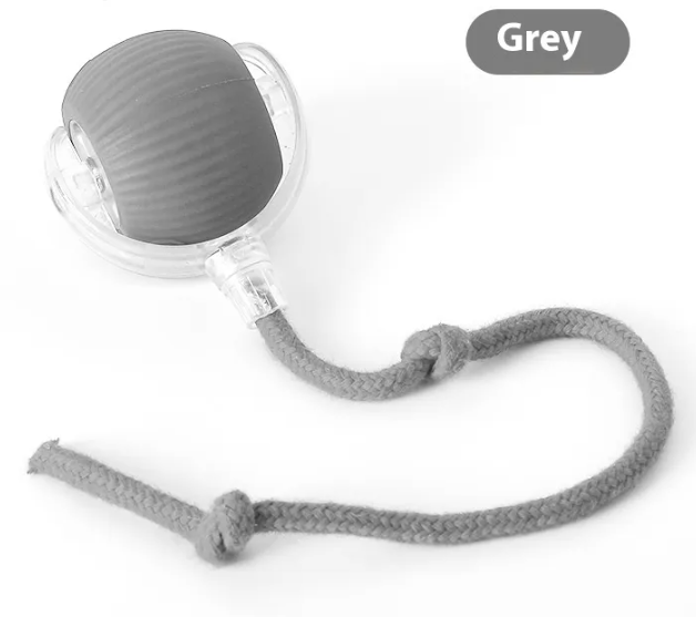 KittyFrenzy | Playful Purr Cat Ball — Interactive Chirping & Motion Toy