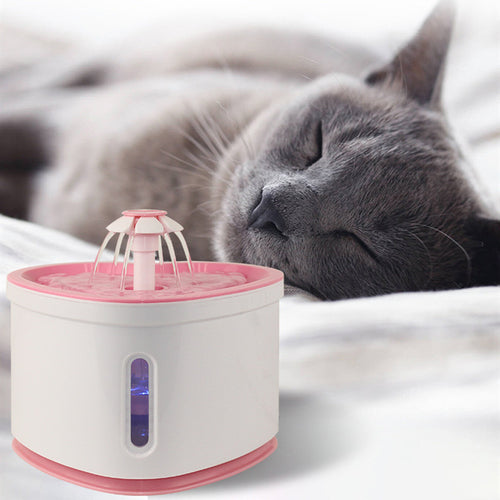 KittyFrenzy 2L heart-shaped pet water fountain with LED light