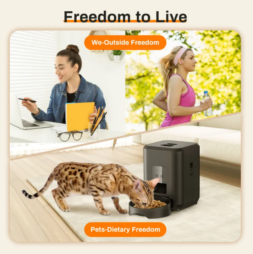 KittyFrenzy | Automatic Pet Feeder — WiFi & Timed Feeding for Cats & Dogs