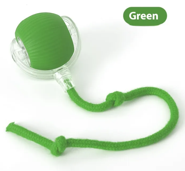 KittyFrenzy | Playful Purr Cat Ball — Interactive Chirping & Motion Toy