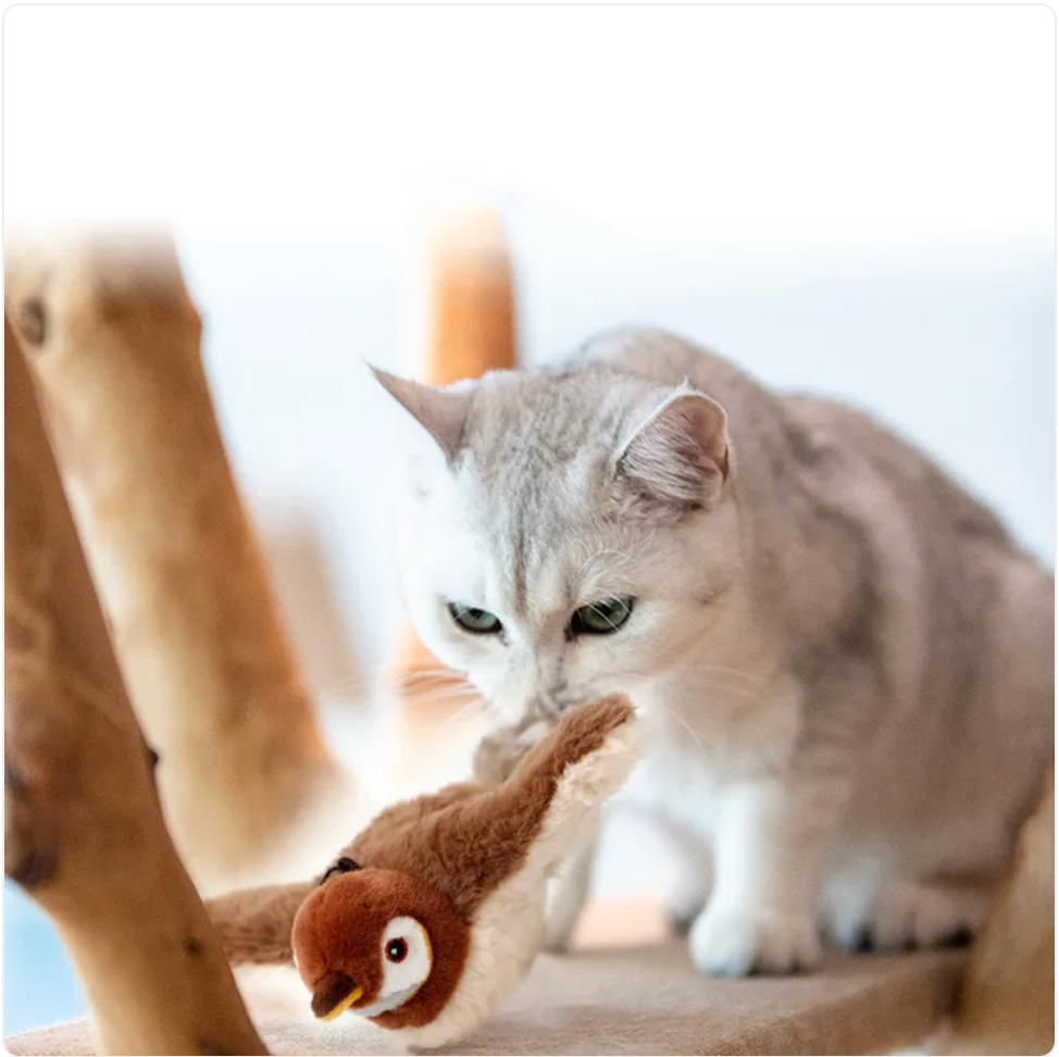 KittyFrenzy | Interactive Plush Cat Toy — Sound & Motion Jumping Fish, Bird & More