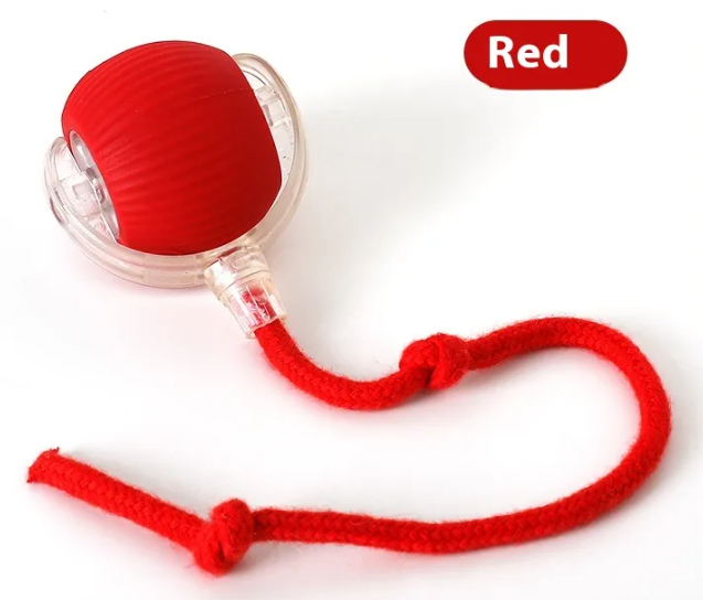 KittyFrenzy interactive chirping cat ball toy